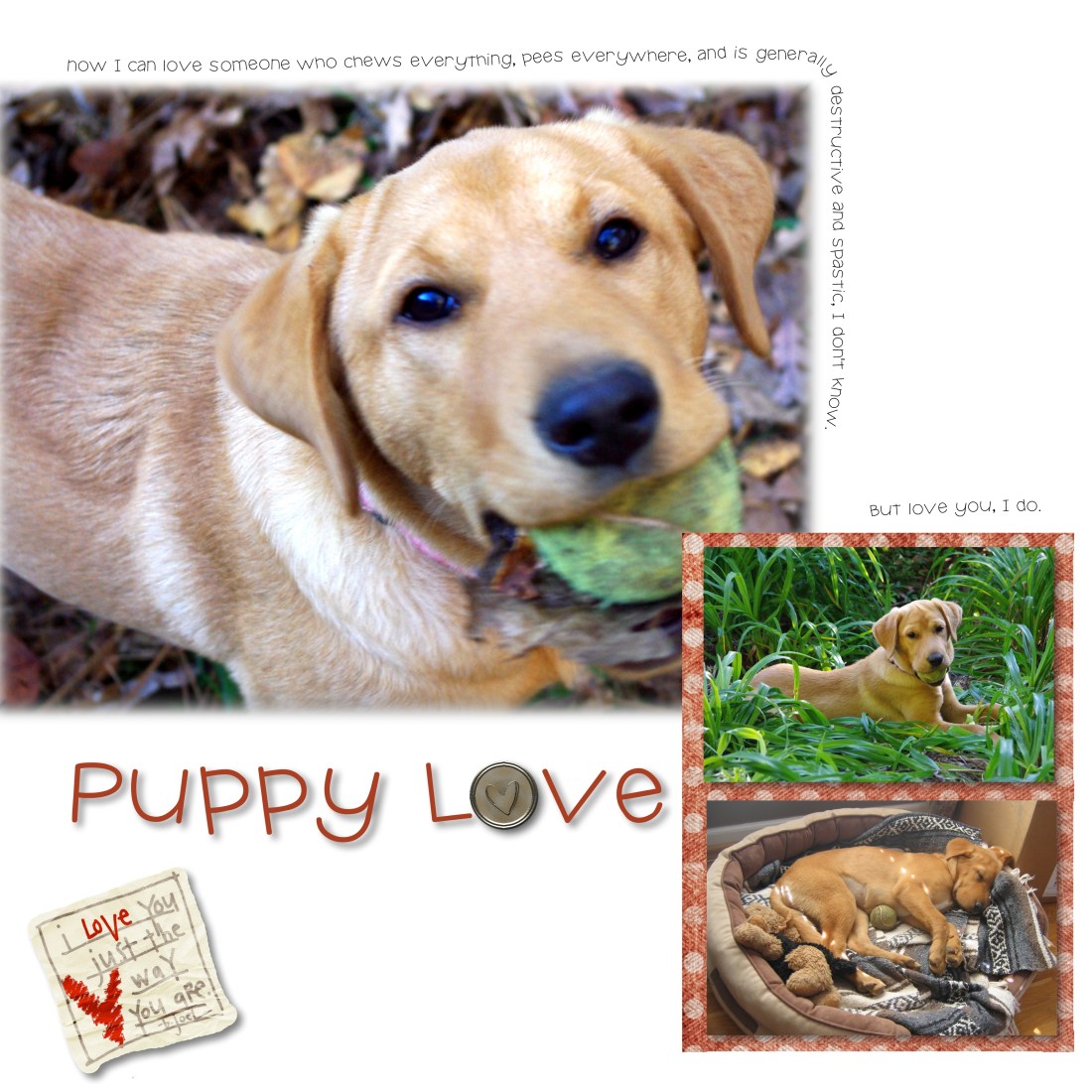 PuppyLove - Page 019