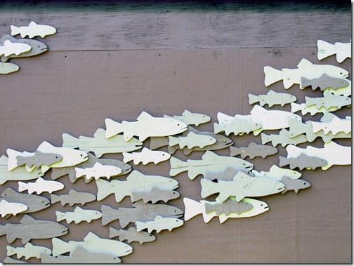 Picture 007_edited-1