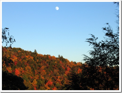 Grandfather Mountain (58)