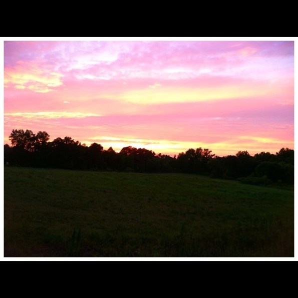 Media_httpimagesinsta_aiqgt