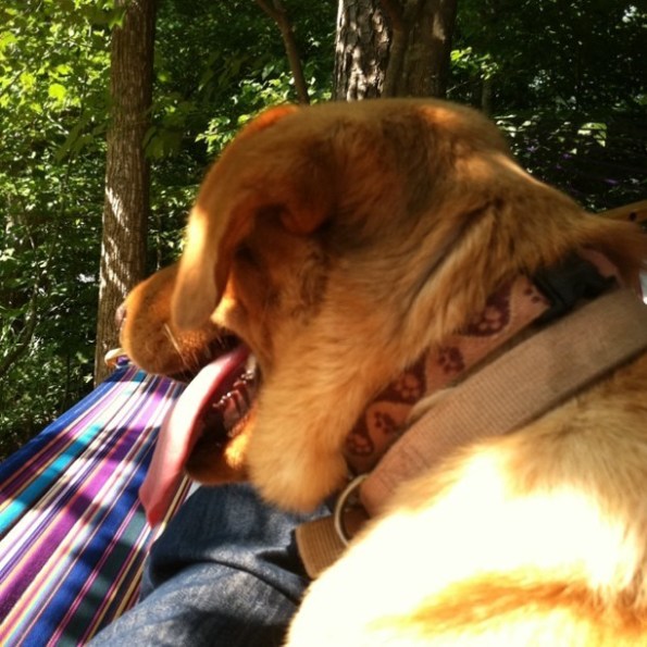 Media_httpimagesinsta_xbdef