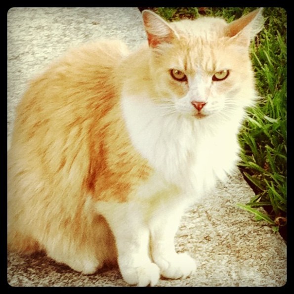 Media_httpimagesinsta_dfnfh