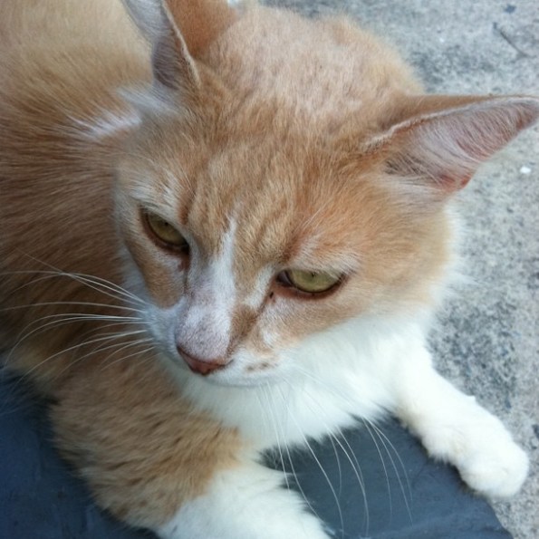 Media_httpimagesinsta_gdacq