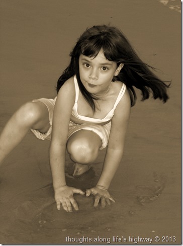 IMG_0079-1 (rev 1) (rev 0)