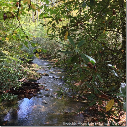 015530abd7b3dee127a8c2d09f27539cf11d44b227